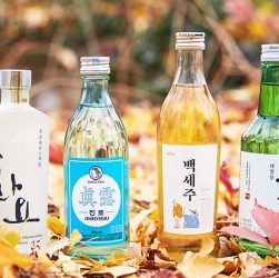 Jenis Minuman Berakolhol Yang Paling populer Di Korea