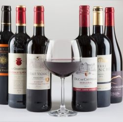Manfaat Wine Bagi Kesehatan Tubuh Dan Otak